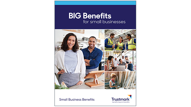 Trustmark Small Business Benefits: Big Benefits for Small Businesses